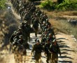 israeli-troops